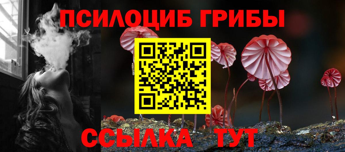 Галлюциногенные грибы MAGIC MUSHROOMS  Вход с VPN  Алексин 